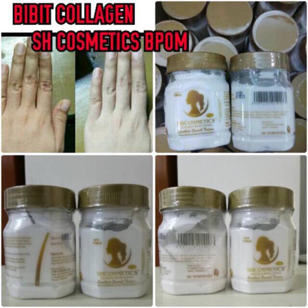 SH COLLAGEN BIBIT Pemutih BODY LOTION BPOM - LOTION BIBIT PEMUTIH BIBIT COLLAGEN_Cerianti