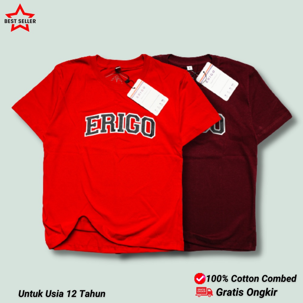 ERI-04 - Kaos anak laki-laki dan perempuan umur 12 tahun| Baju Setelan atasan anak tanggung| Pakaian anak-anak distro keren motif simple| Kaos katun combed 30s