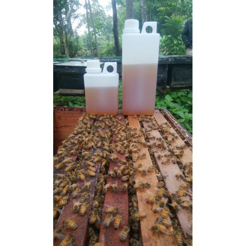 

Madu Asli