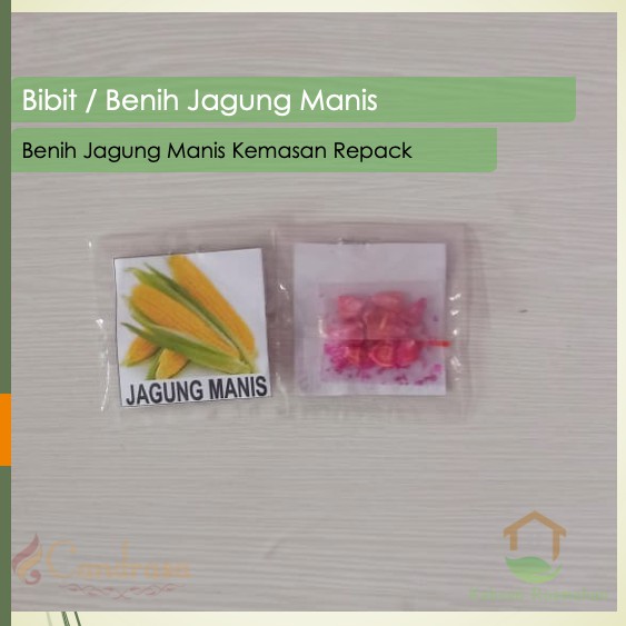 Biji Jagung Manis / Benih Jagung Manis / Benih Sayuran