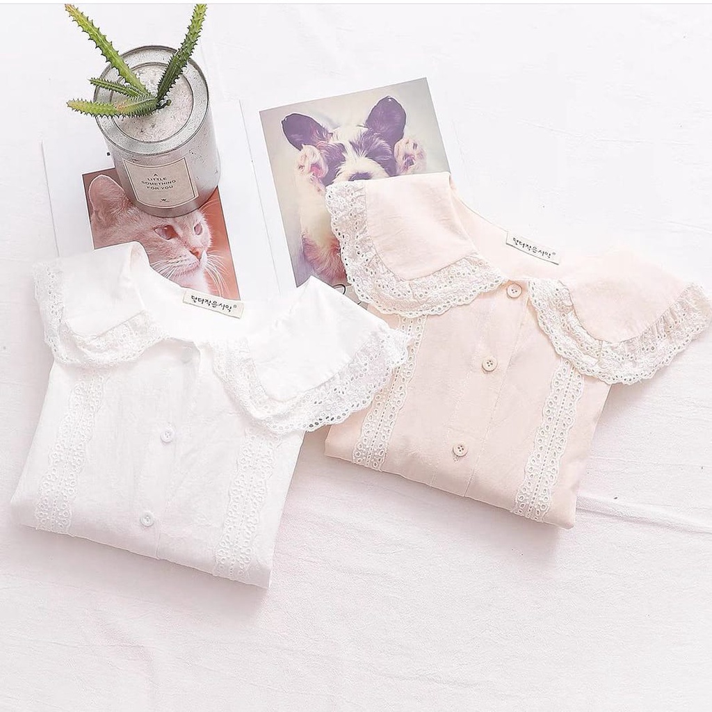 FeyazaWa Blouse Wanita Muslim Kekinian  Koleksi Konveksi Baju Hijab