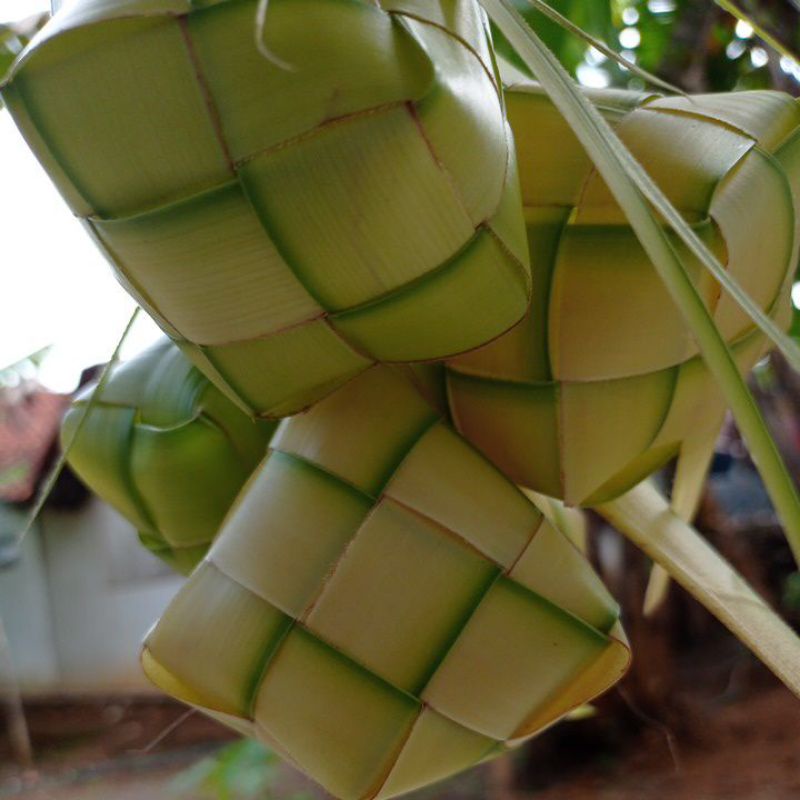 

ketupat