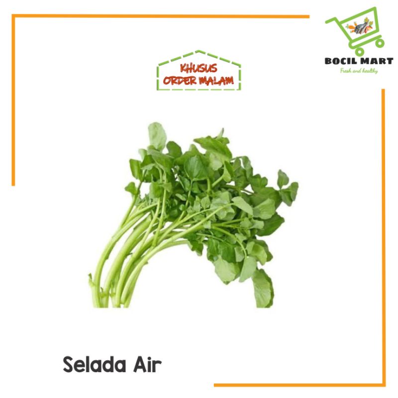 

SELADA AIR 1 IKAT BOCIL MART
