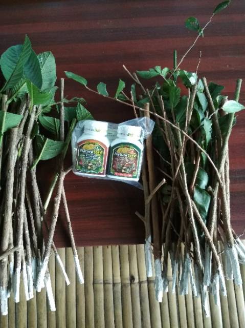 Nature stek pemacu akar (paket) , perangsang akar, obat pemacu perangsang penumbuh akar tanaman