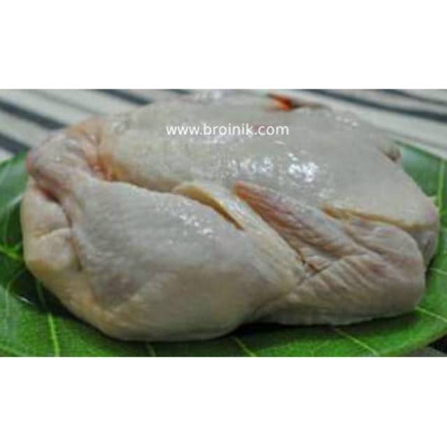 

Ayam organik mentah besar >900gram potong 10