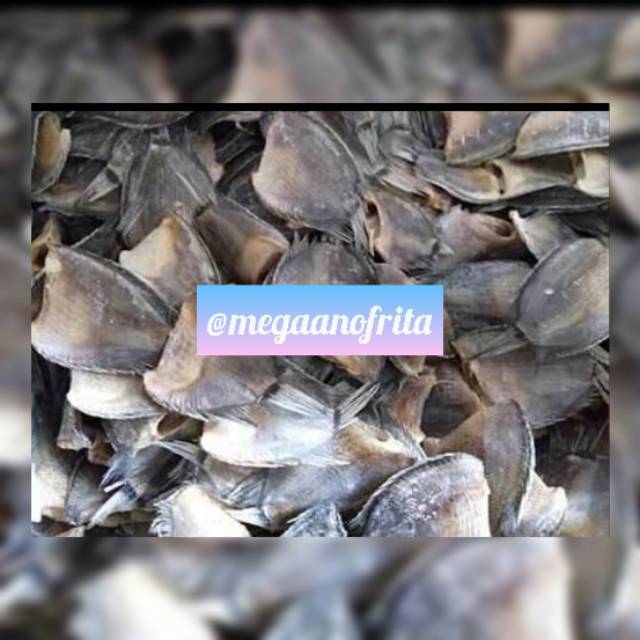 

COD SAPEK SIAM 100 GR