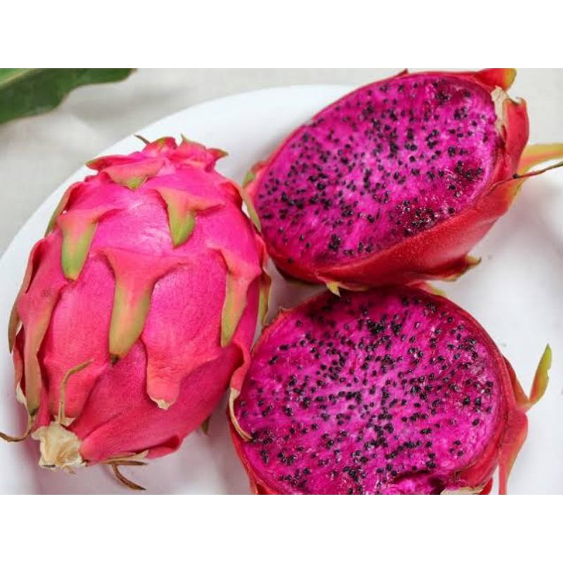 

Buah Naga