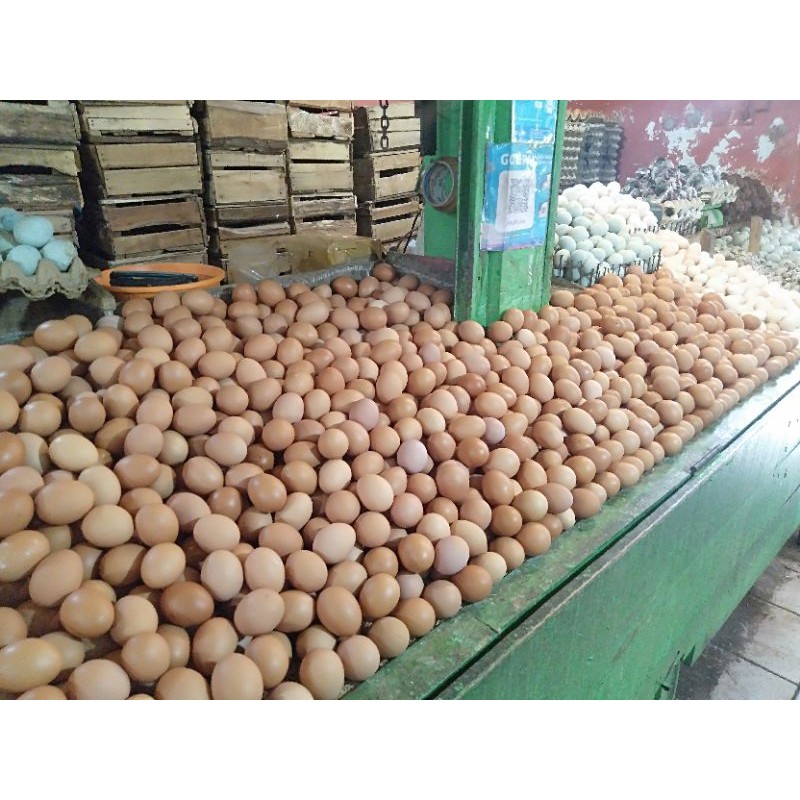 

Telur Ayam Fresh 1 Kilo 16-17 Butir Warna Coklat