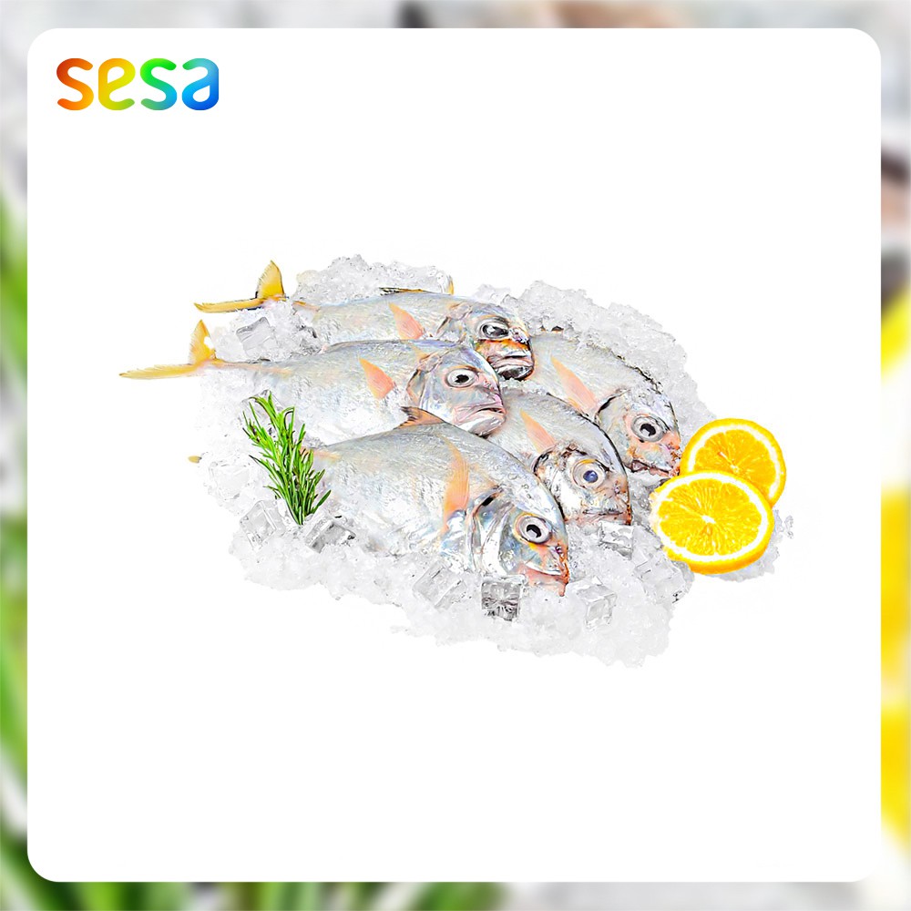 

Ikan Kuwe Beku 0.8-0.9 kg