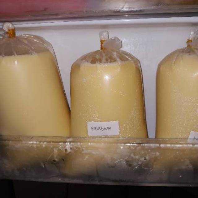 

Susu kolustrum murni pearahan ke 1