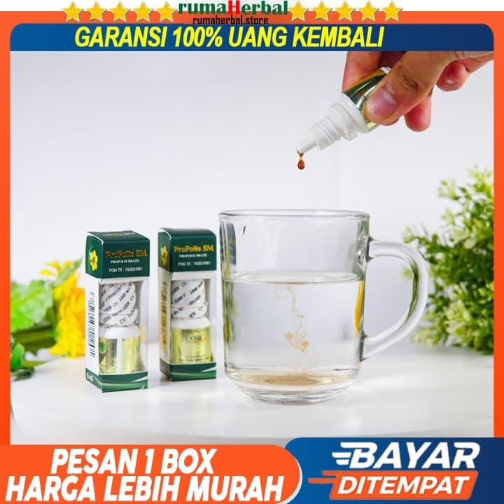 Walatra Propolis Brazil, Propolis Sm, Propolis Asli, Propolis Original - Propolis Brazil Sm Asli