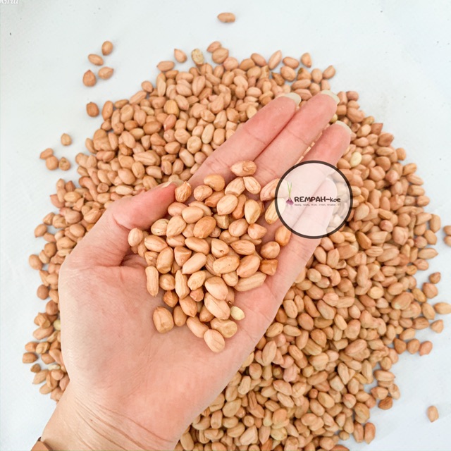

Kacang Tanah Kulit / Kacang Tanah Mentah 500 gram