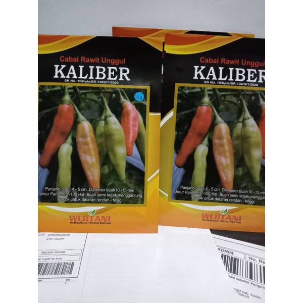 Benih cabe rawit Kaliber
