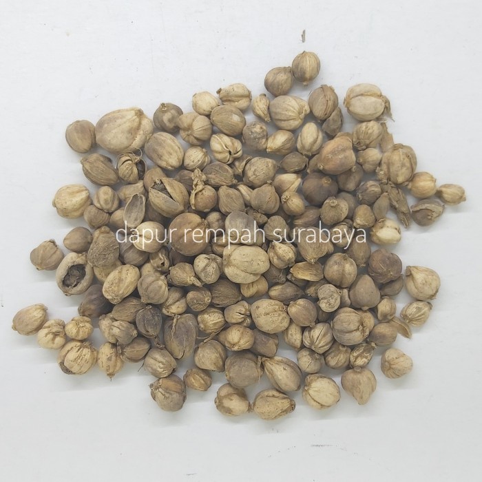 

Promo KAPULAGA JAWA KAPULAGA KERING KAPULOGO JOWO KAPULOGO HERBAL KAPOL KARK Diskon