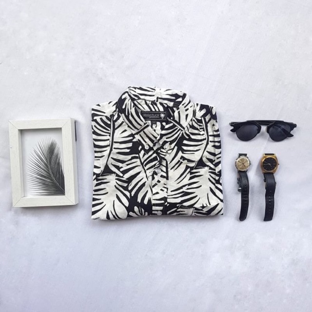 

Black White Zebra (A62)