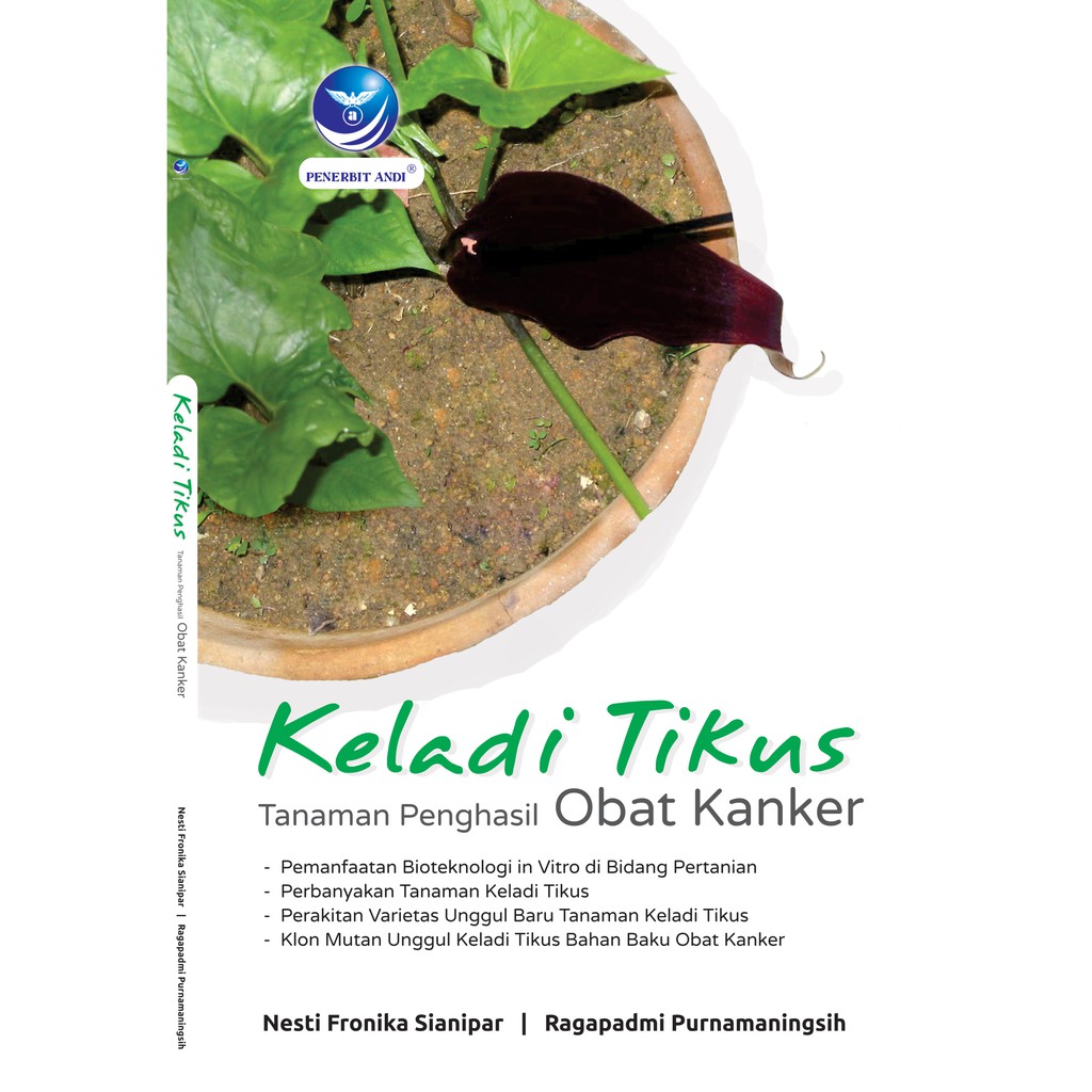 Keladi Tikus Tanaman Penghasil Obat Kanker