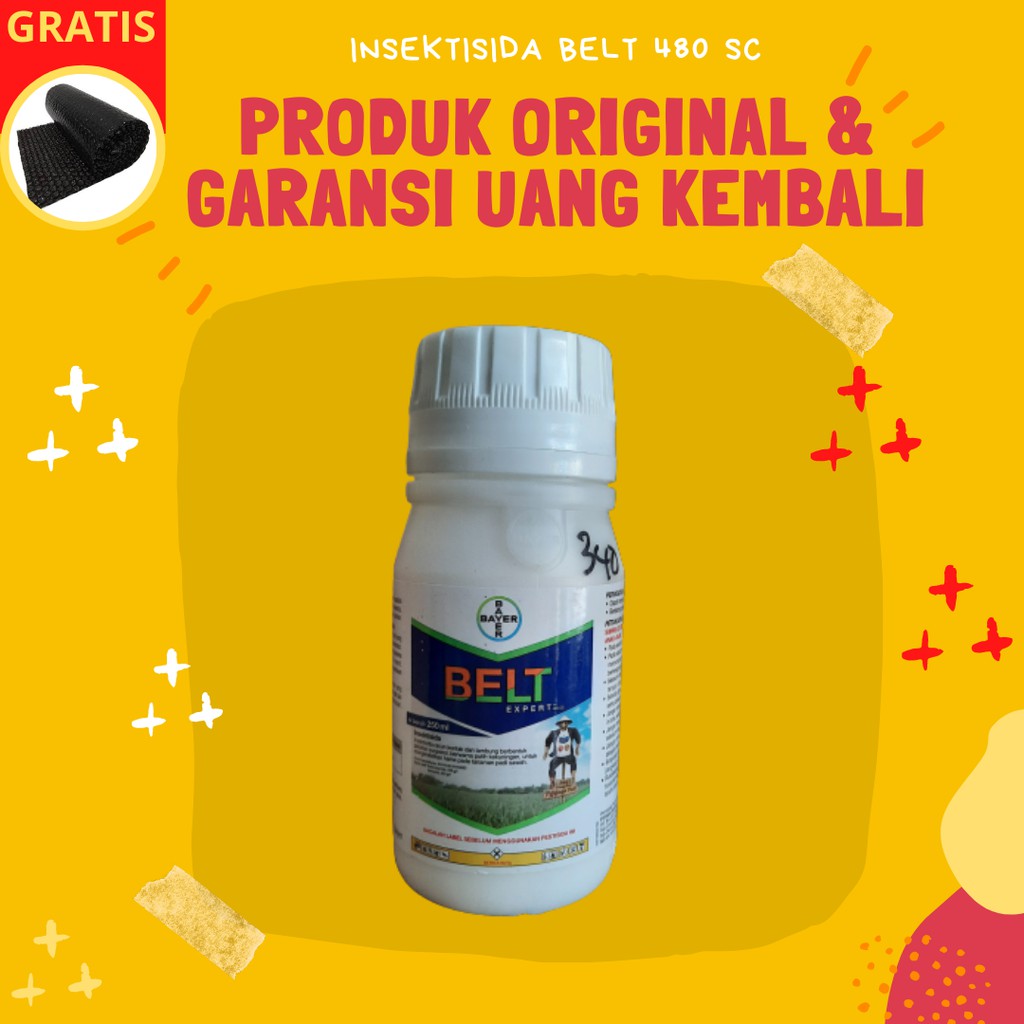 BELT 480 SC - Obat Insektisida Pelindung Pembasmi Hama Tanaman Ulat dan Penggerak batang Padi