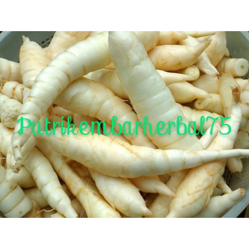 ubi Garut atau irut 1kg