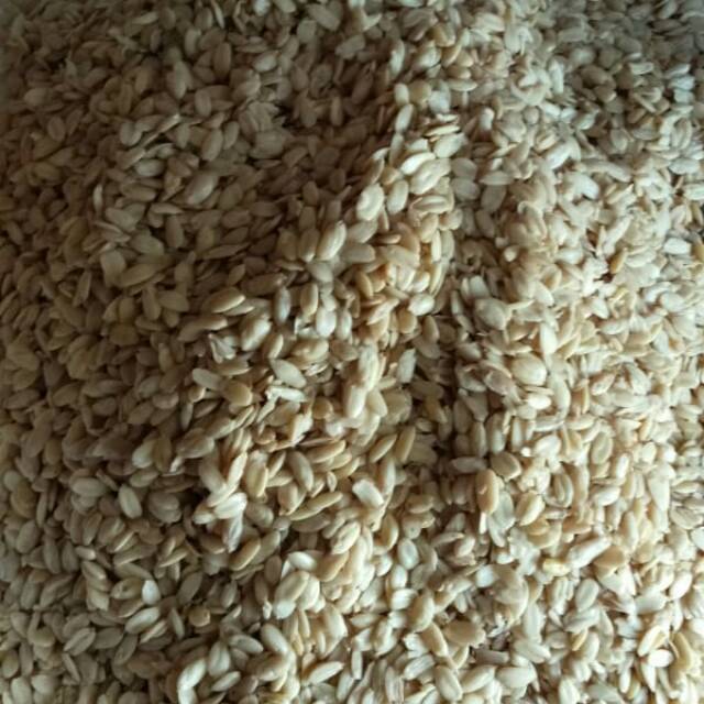 

Kacang kenari
