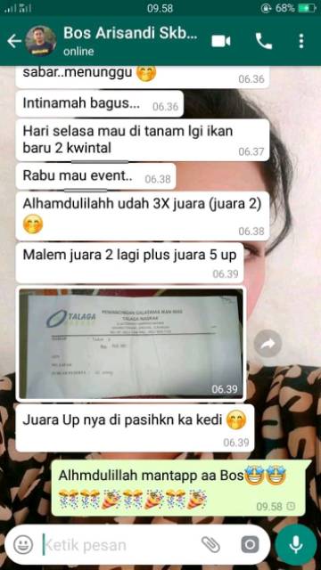 Essen jitu kompilasi ikan mas