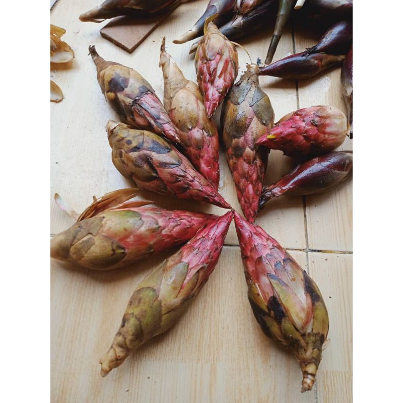 

Buah pining bawang golobe segar 500g