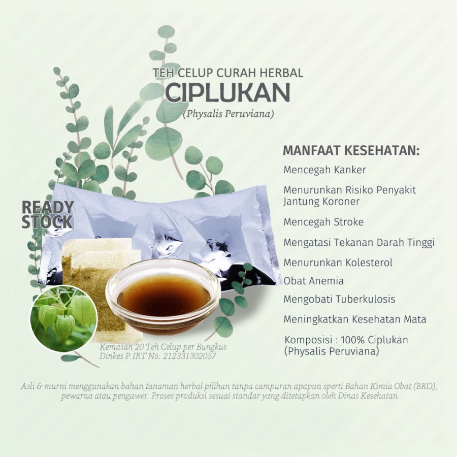 Teh Celup  Herbal CIPLUKAN (Physalis Peruviana, Cecenet) mengandung Vitamin K untuk Diabetes, Hati, 
