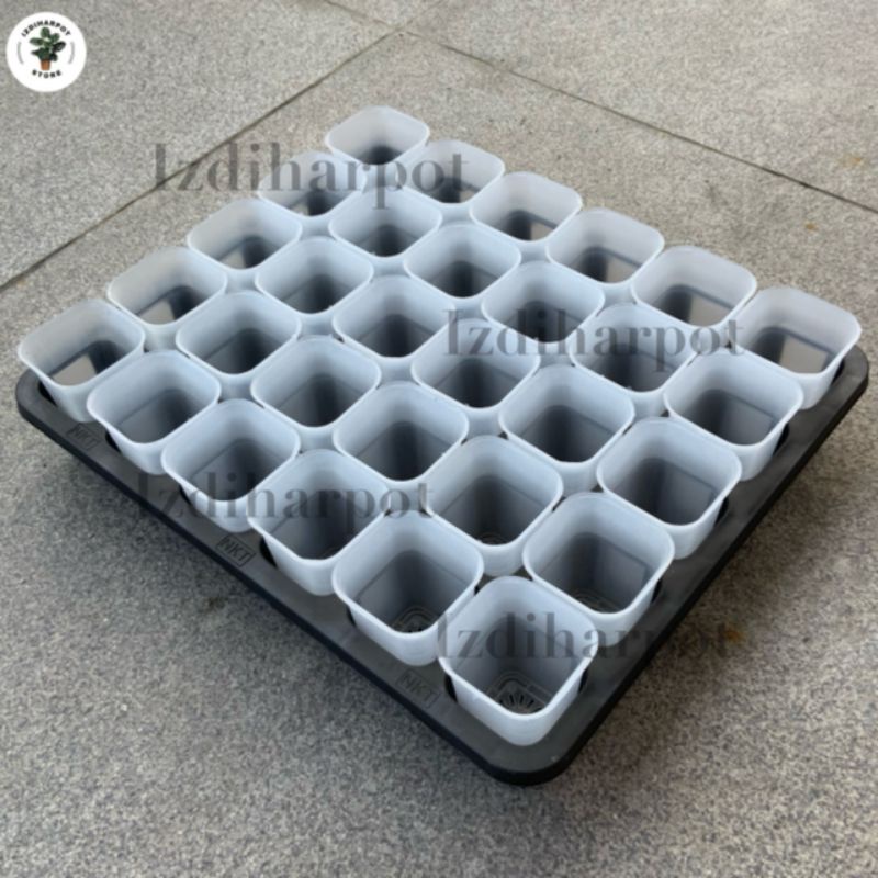 1 SET TRAY LUBANG 30 + POT NKT KOTAK 5CM BENING 30 PCS | TRAY SEMAI BIBIT