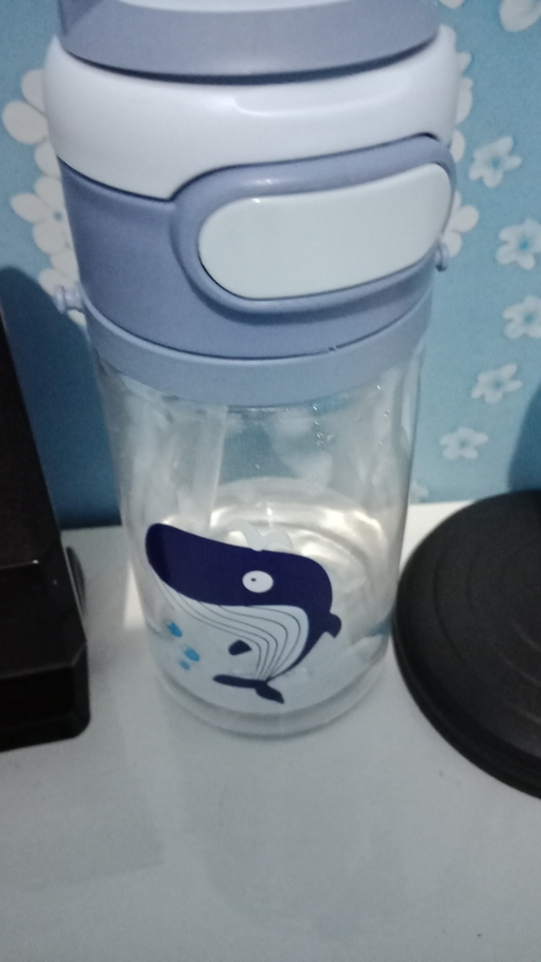 Botol Anak Karakter Dino-paus-rusa-kuda Dengan Volume 500 Ml Murah Mantap