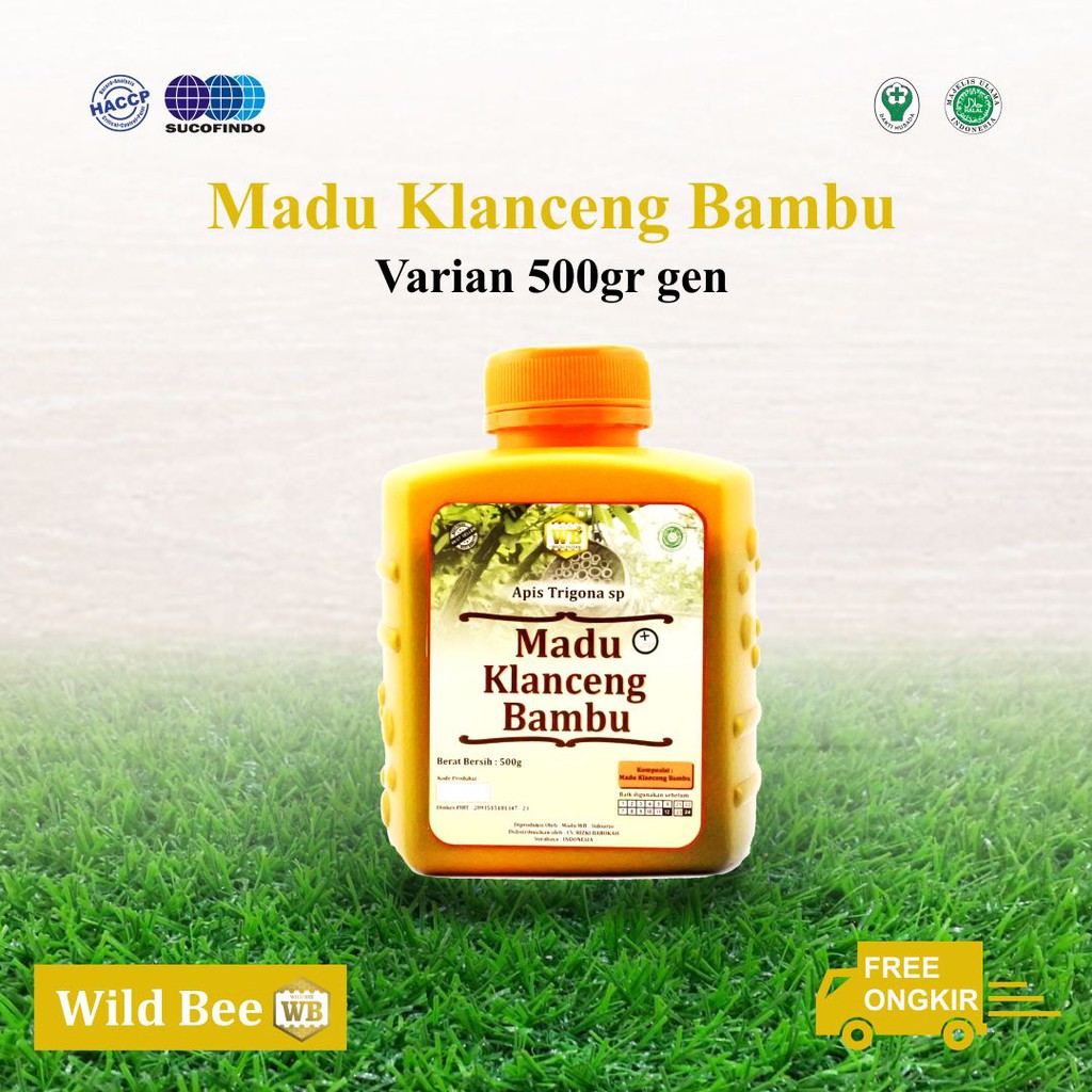 

Madu Klanceng Bambu 500gr / Lebah Apis Trigona-Garansi Murni & Asli 100%-Wild Bee-Kemasan Ekonomis