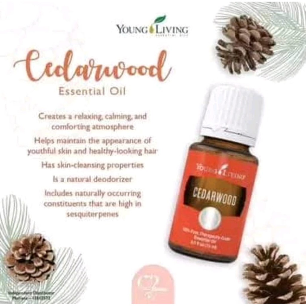 Cedarwood Essential oil YL 15ml