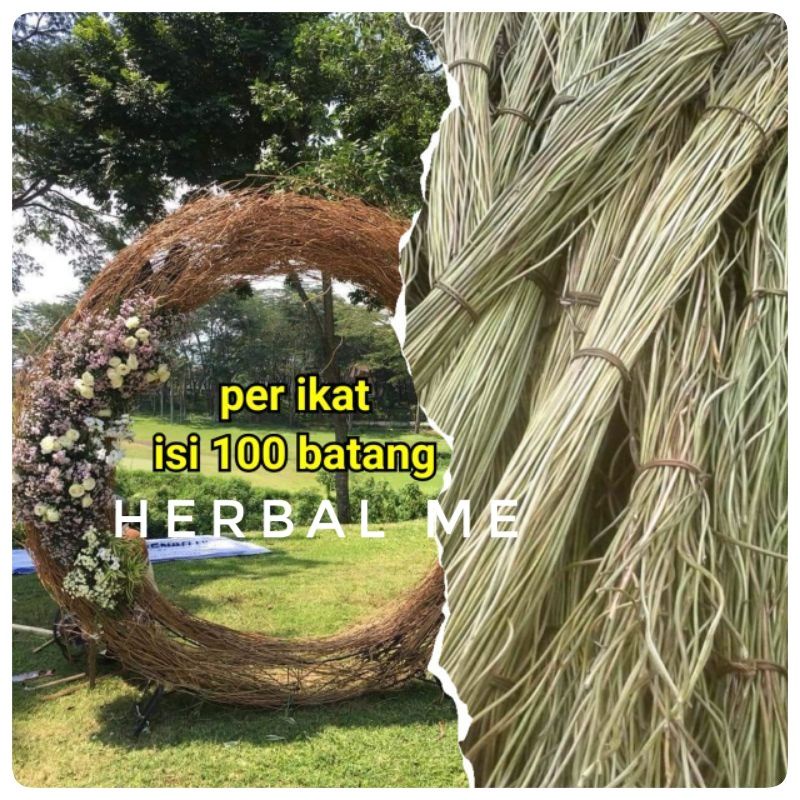 Akar Manon Terlaris - Ring Rustic - Dekorasi Murah - Mentau - Cane - Rotan - Bahan Kerajinan