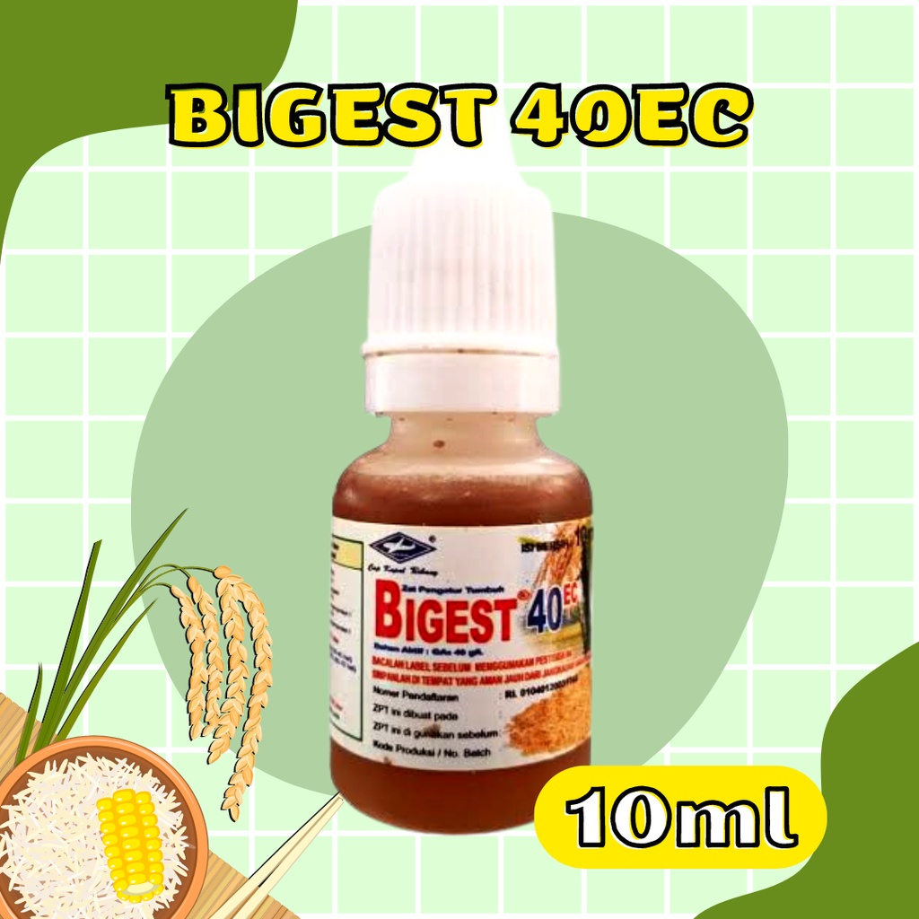 Bigest Zpt Zat Pengatur Tumbuh Bigest 40 ec 10ml Pupuk Bigest Perangsang Pertumbuhan Tanaman Andalan