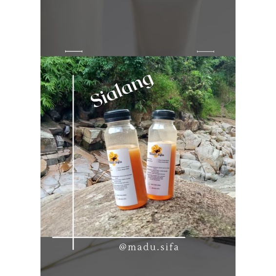 

madu sialang 250 gram / madu sialang asli 100% /madu hutan