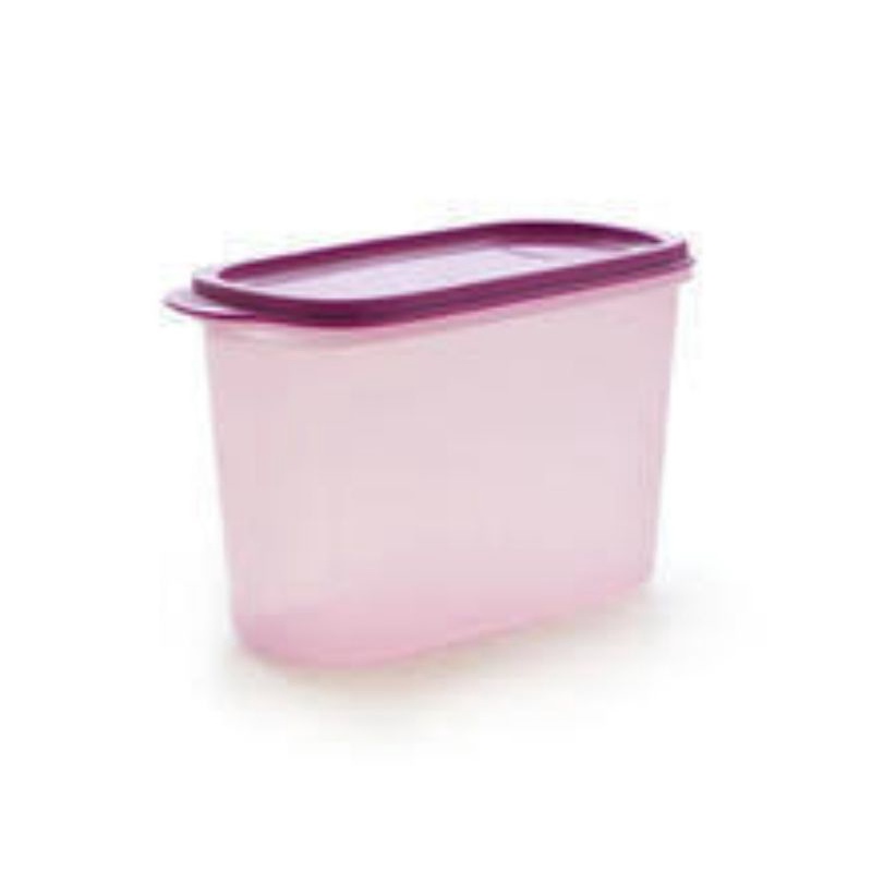 Tupperware SMART SAVER OVAL 2