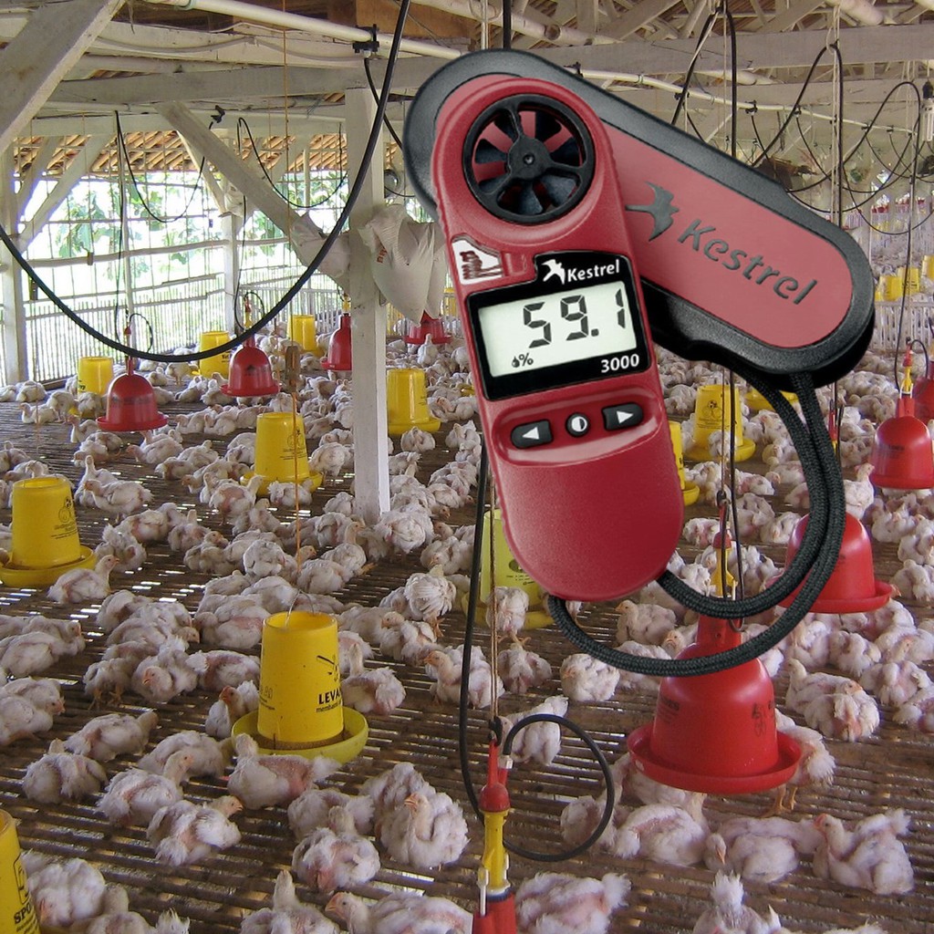 KESTREL 3000 UNTUK KANDANG AYAM MODERN MULTI FUNGSI MEMBACA ARAH ANGIN dan KELEMBAPAN KANDANG