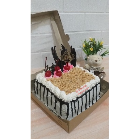 

BlackForest Kotak 16x16x7