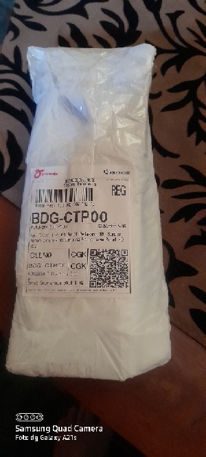 Capit Udang - Jepit Udang