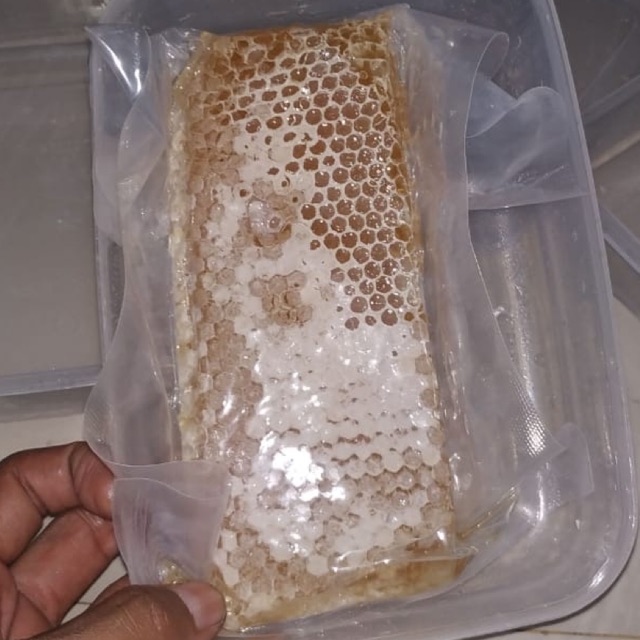 

Madu Sarang Malifera