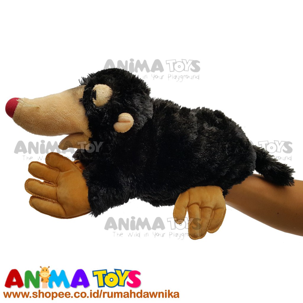 420 Koleksi Gambar Hewan Tikus Tanah HD Terbaik