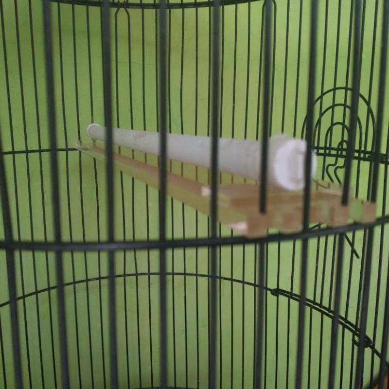 Tangkringan tangringan Kotak lovebird Akrilik Mika bening transfaran anti mengatasi Gestang gespang