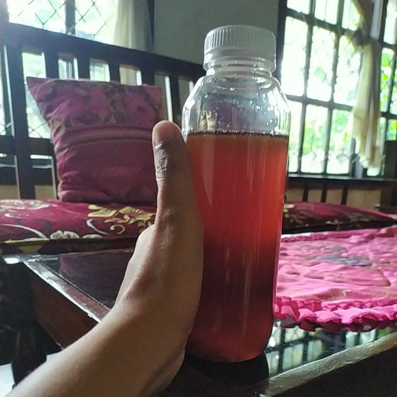 

MADU HUTAN PESAWARAN 575 GR