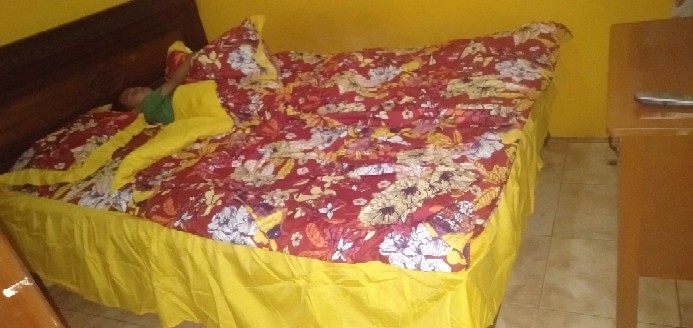 Set Bedcover + Sprei California 180x200 160x200  Pinkflamingo Nurita Mahesa Capilano Hanna  Bc180clf