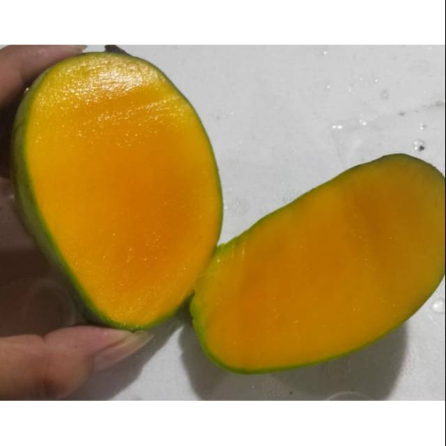 

Buah Mangga cengkir indramayu mateng|buah segar bandung|nuri fruits|buah mangga|mangga cengkir|buah rujak