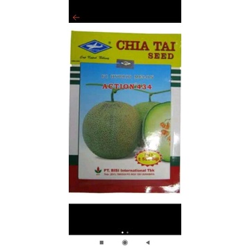 benih melon action 434