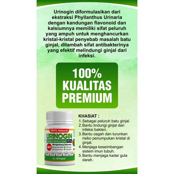 URINOGIN Herbal Kesehatan Ginjal Kencing Batu Peluruh Batu Ginjal