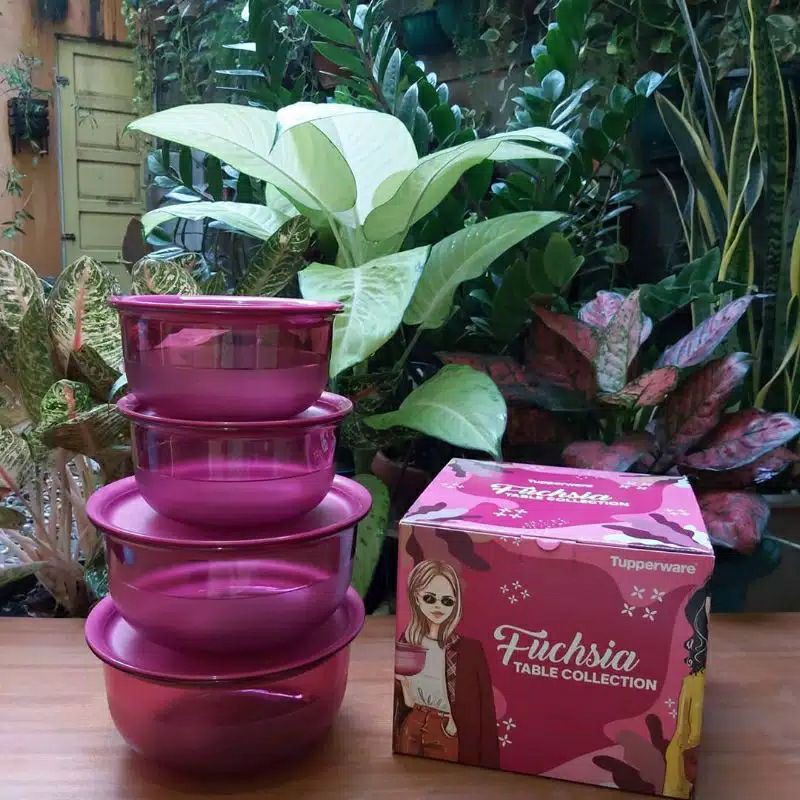 fuchsia table collection set isi 4