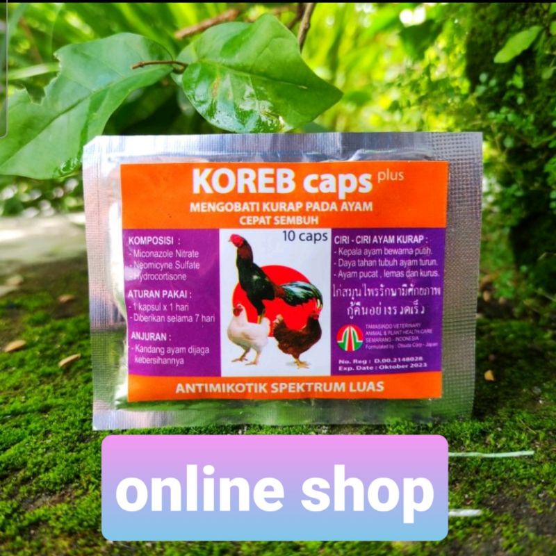 korep caps 10 kapsul obat kurap ayam muka putih pucat merpati patek cacar kutil obat sakit virus ari