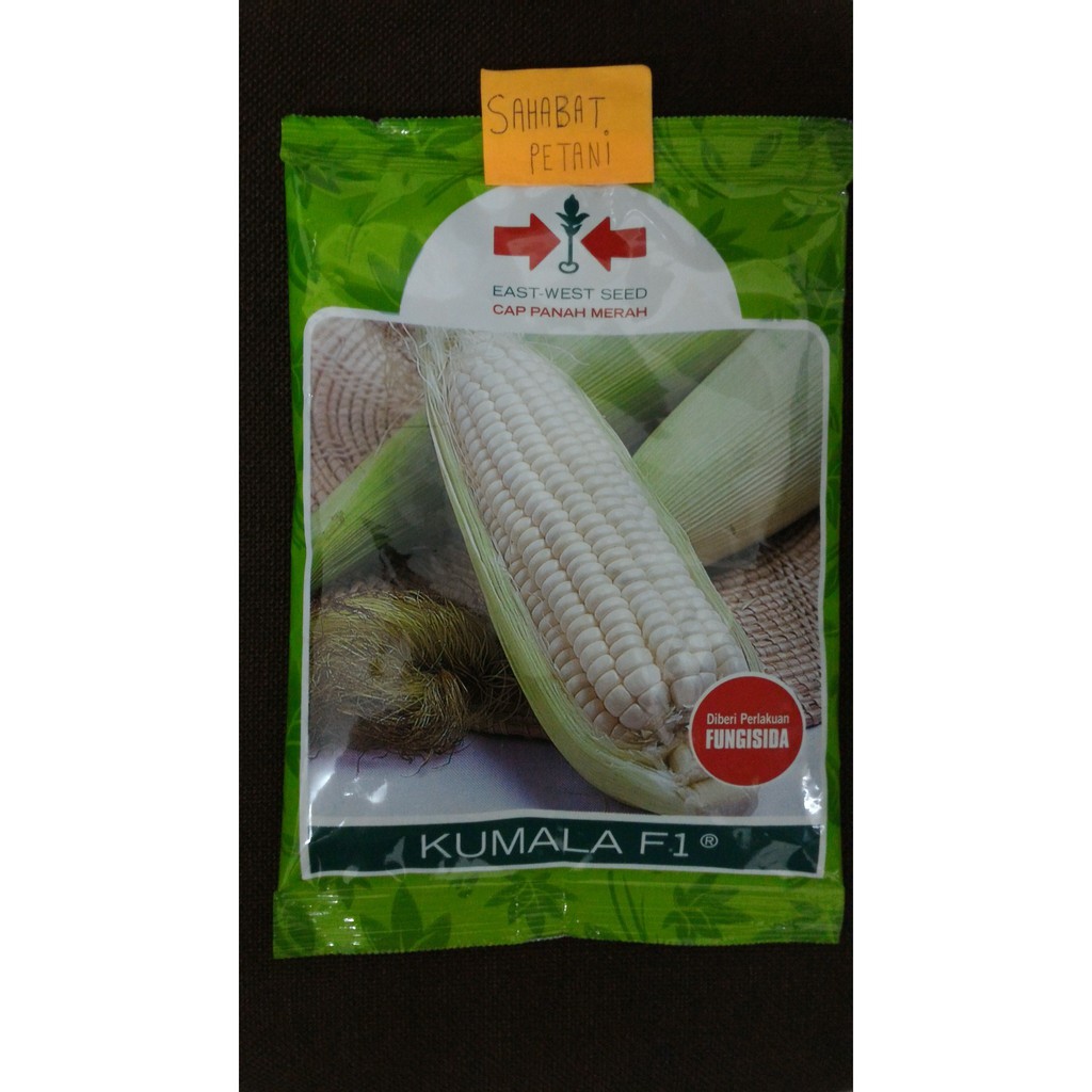 Benih Jagung Pulut Manis Kumala 250 Gram