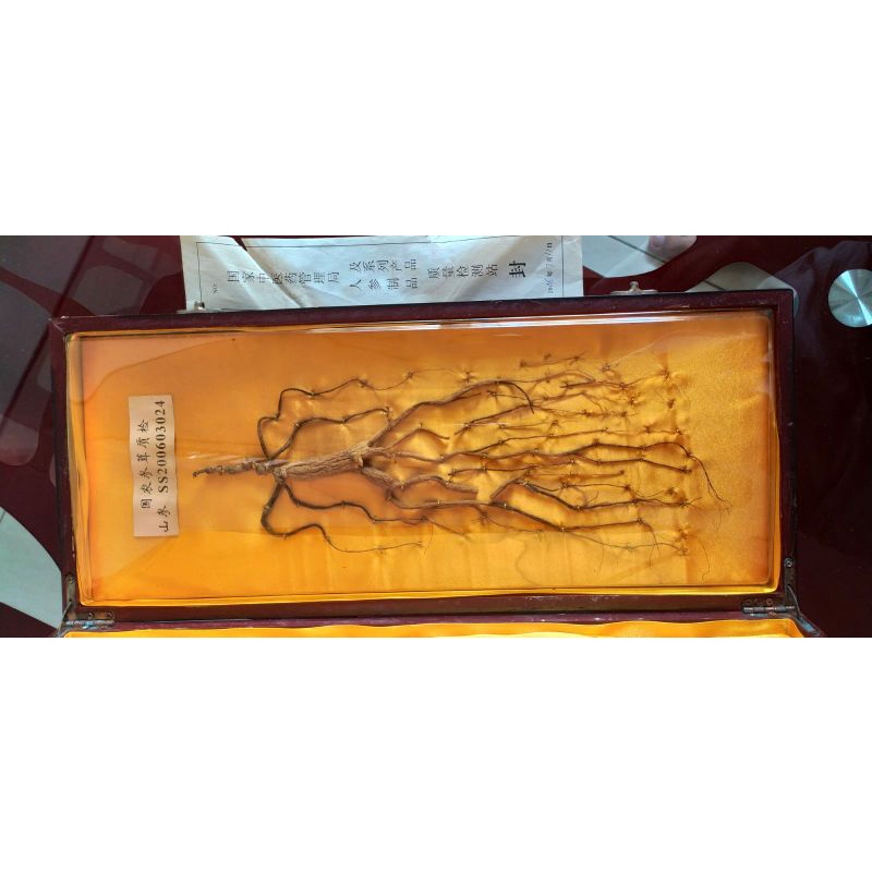Selling Genuine Ginseng from China Certified