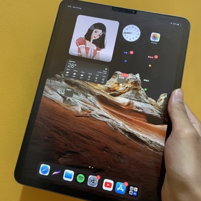Ipad PRO 2018 11" 512Gb